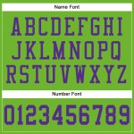 Maglia da football autentica viola neon verde in rete personalizzata Maglia da football autentica viola neon verde in rete personalizzata
